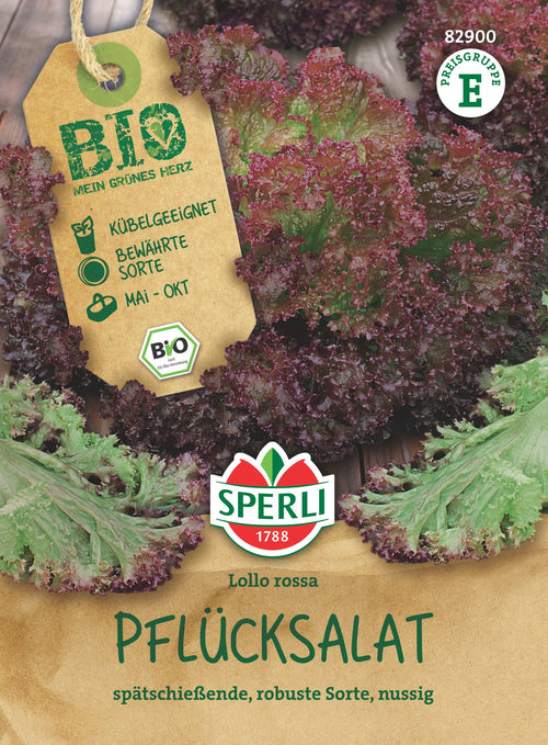 SPERLI BIO Pflück- & Schnittsalat Lollo rossa