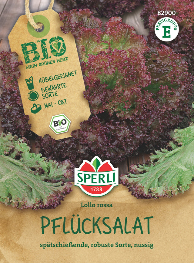 SPERLI BIO Pflück- & Schnittsalat Lollo rossa