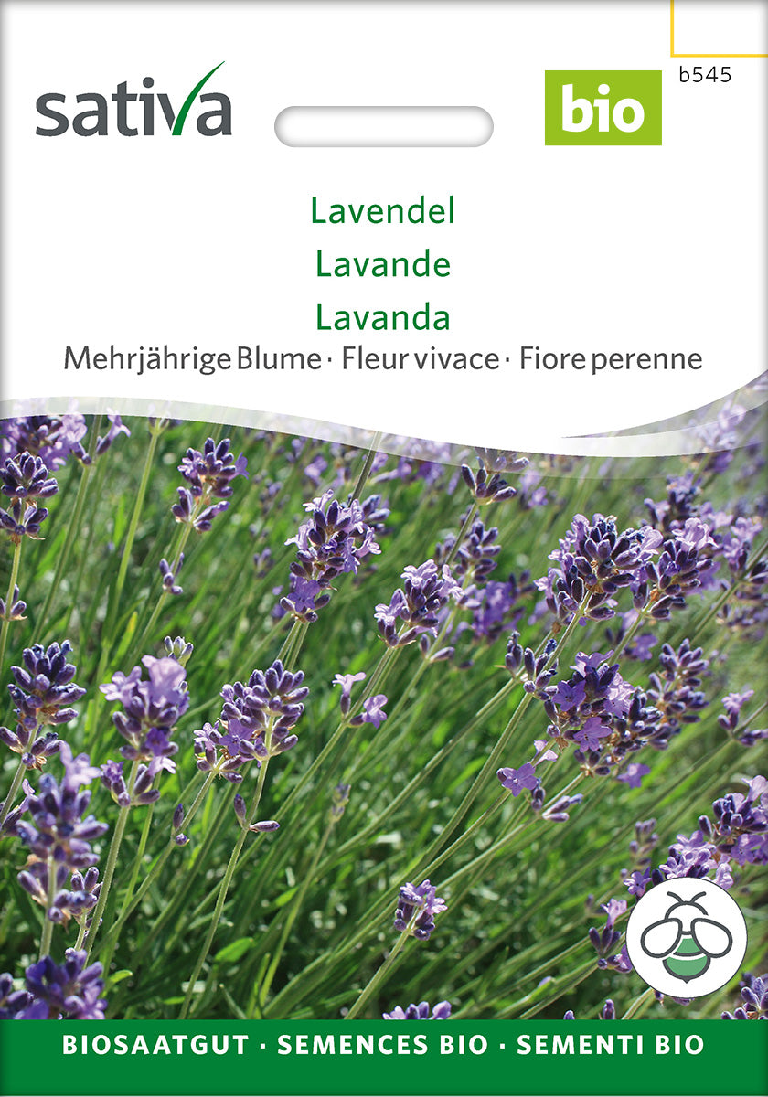 Sativa Lavendel