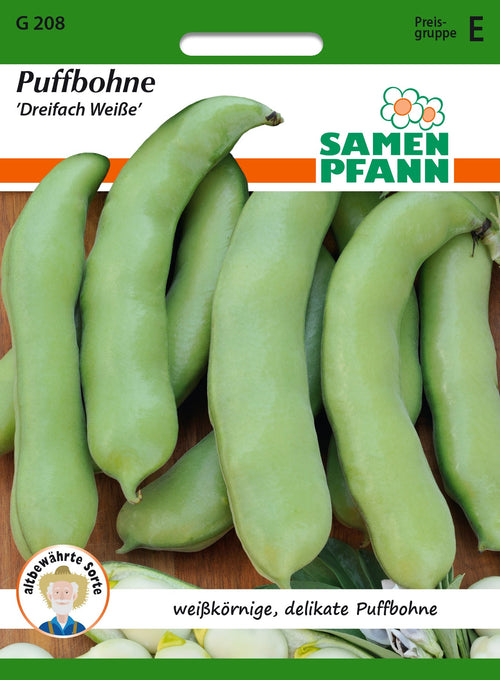 Samen Pfann Puffbohne Dreifach Weiße