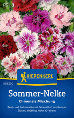 Kiepenkerl Sommernelken Chinensis Mischung