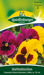 Quedlinburger Stiefmütterchen Schweizer Riesen Mischung