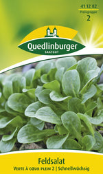 Quedlinburger Feldsalat Verte a coeur plein 2