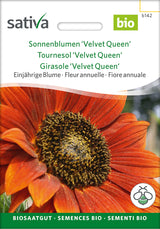 Sativa Sonnenblumen Velvet Queen