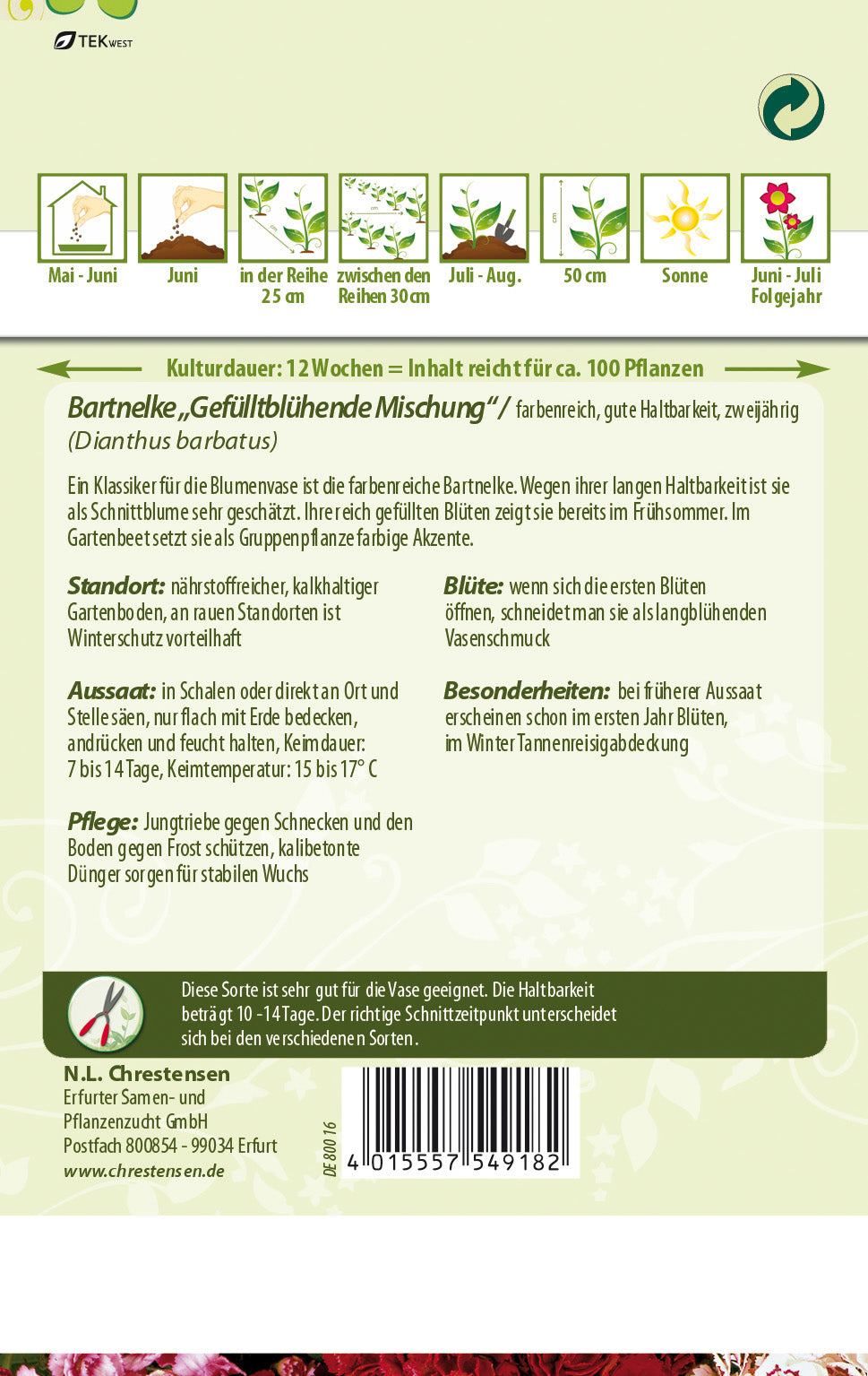 N.L. Chrestensen Bartnelke Gefülltblühende Mischung