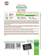 SPERLI Erdbeere Elan Pillensaat