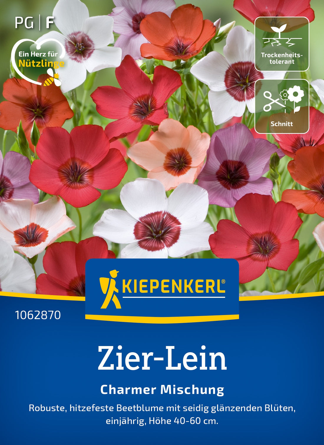 Kiepenkerl Zier-lein Charmer Mischung