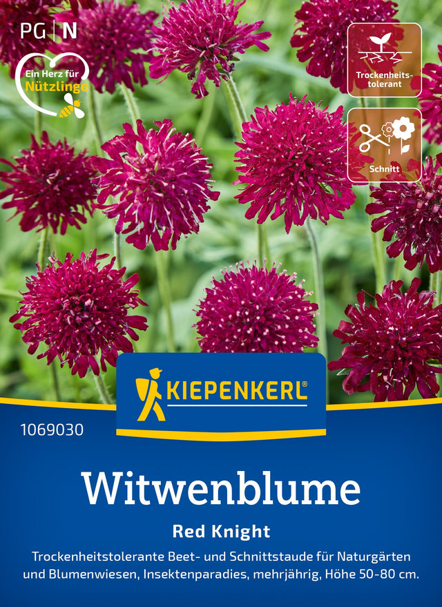 Kiepenkerl Witwenblumen Red Knight