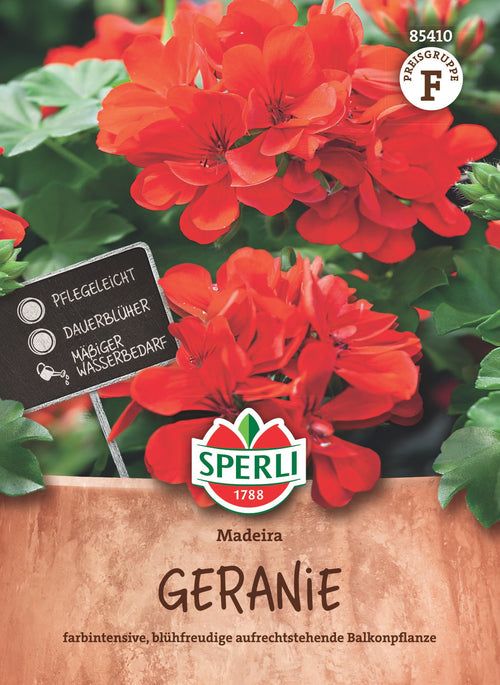 SPERLI Geranie Madeira