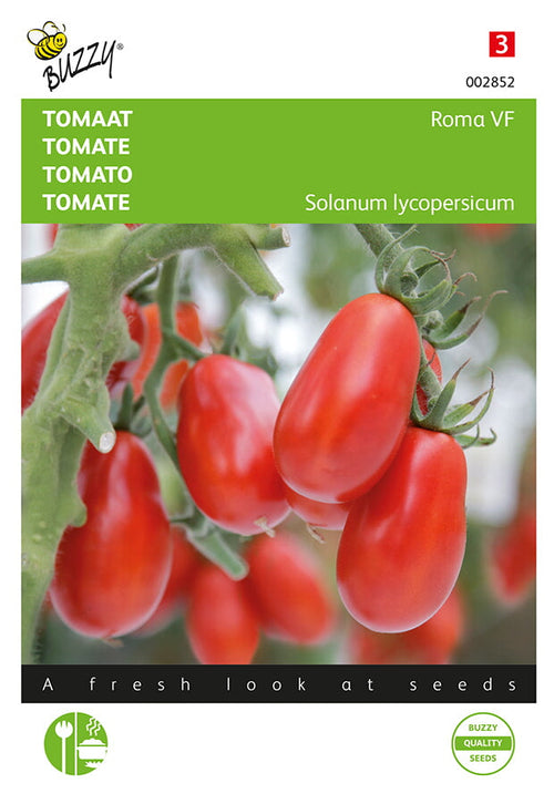 Buzzy Seeds Salattomaten Roma VF