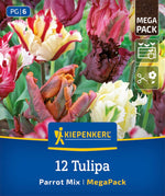 Mega-Pack Papageien-Tulpen Mischung