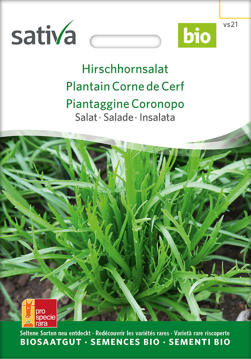 Sativa Salat Hirschhornsalat