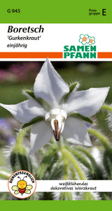 Samen Pfann Boretsch Gurkenkraut einjährig