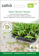 Sativa Keimsprossen Spinat