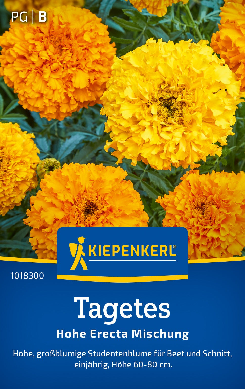 Kiepenkerl Studentenblumen Hohe Erecta Mischung