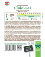 SPERLI Strandflieder SPERLI's Colorita Mischung