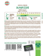 SPERLI Blaukissen SPERLI's Azurro