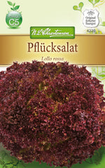 N.L. Chrestensen Pflücksalat Lollo Rossa