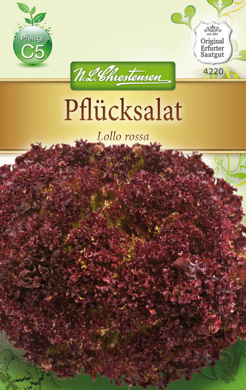 N.L. Chrestensen Pflücksalat Lollo Rossa