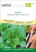 Sativa Nüsslisalat Elan Saatband