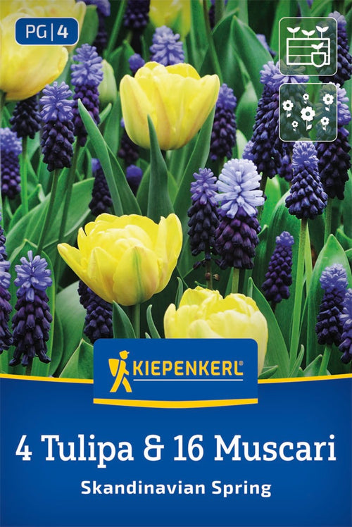 Duo-Mix Skandinavian Spring