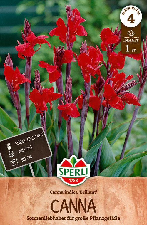 SPERLI Canna Brillant