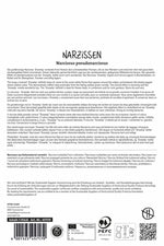 Premium Großkronige Narzisse Snowtip
