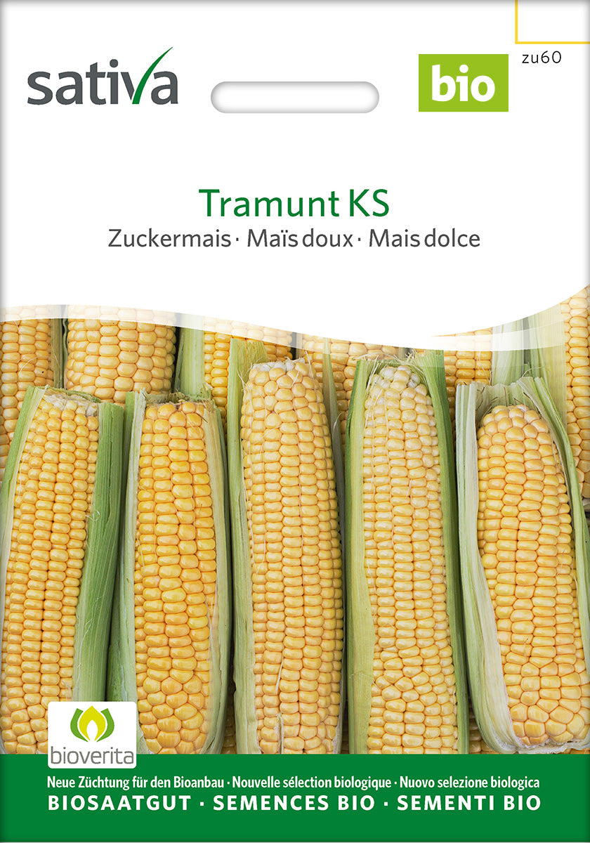 Sativa Zuckermais Tramunt KS