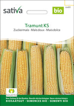 Sativa Zuckermais Tramunt KS