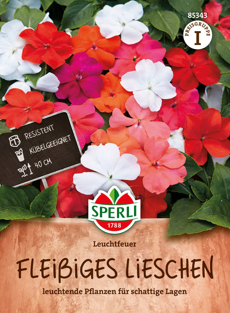 SPERLI Fleißige Lieschen Leuchtfeuer