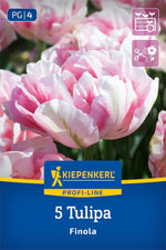 Profi-Line Gefüllte späte Tulpe Finola