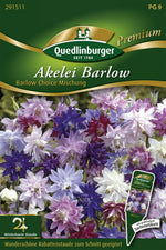 Quedlinburger Akelei Barlow Choice Mischung