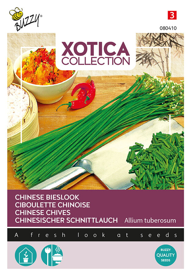 Buzzy Seeds Chinesischer Schnittlauch
