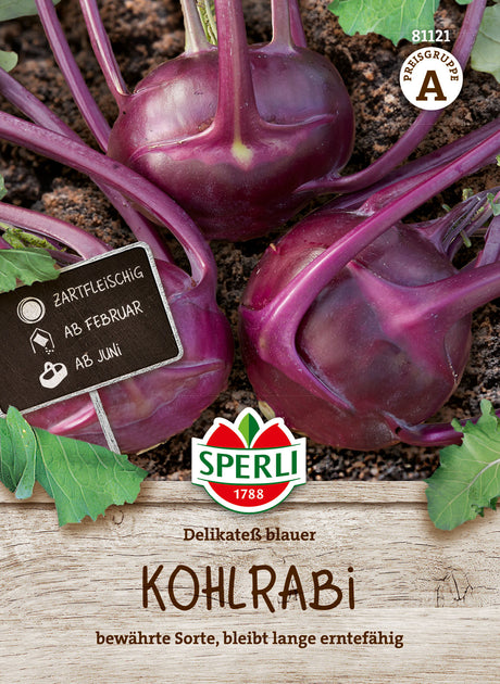 SPERLI Kohlrabi Delikateß blauer