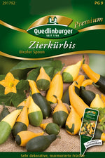 Quedlinburger Zierkürbis Bicolor Spoon