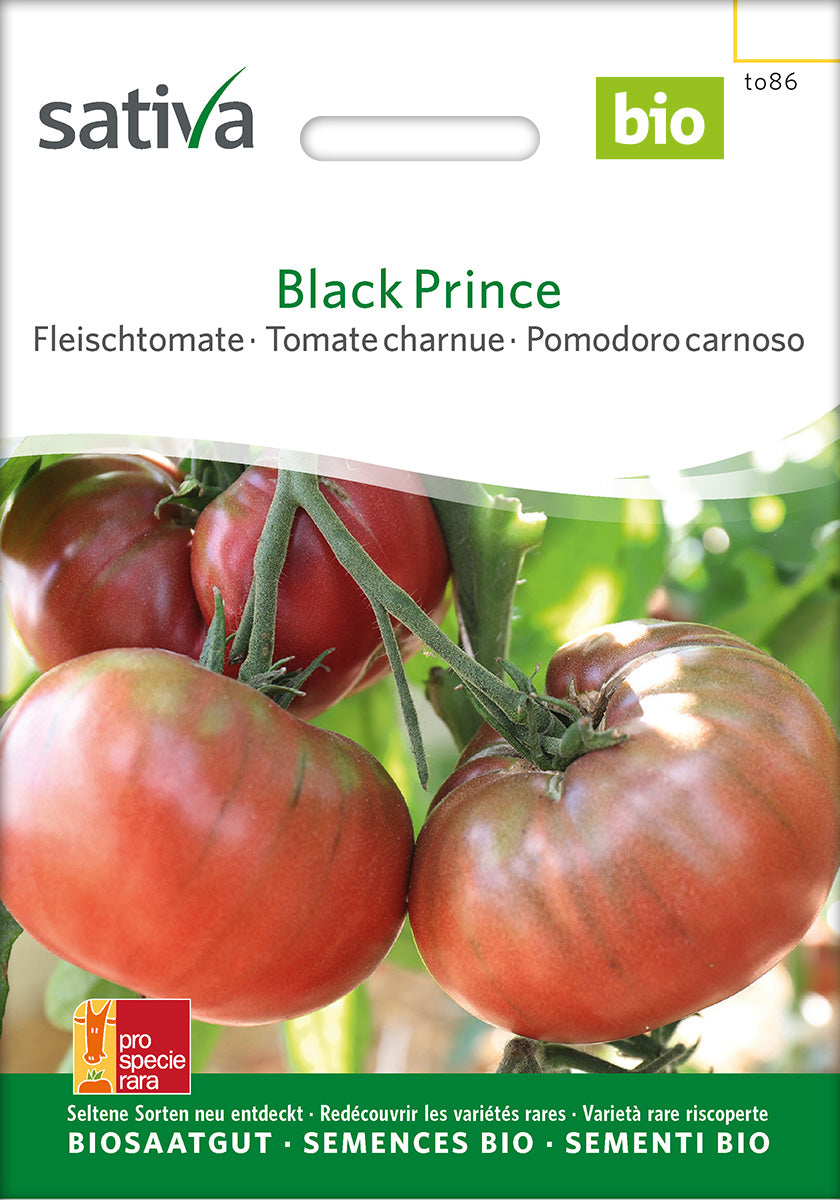 Sativa Fleischtomate Black Prince