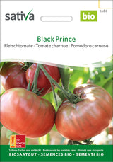 Sativa Fleischtomate Black Prince