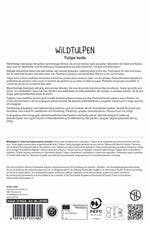 Wildtulpe tarda