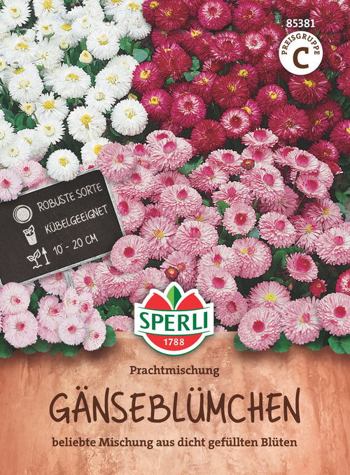 SPERLI Gänseblümchen Prachtmischung