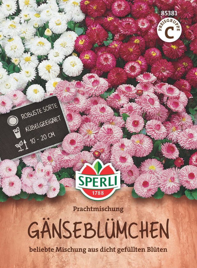 SPERLI Gänseblümchen Prachtmischung