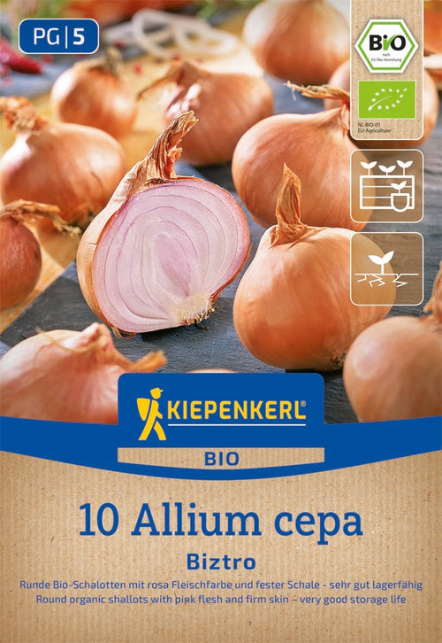 Kiepenkerl BIO Schalotte Biztro 10 Stück
