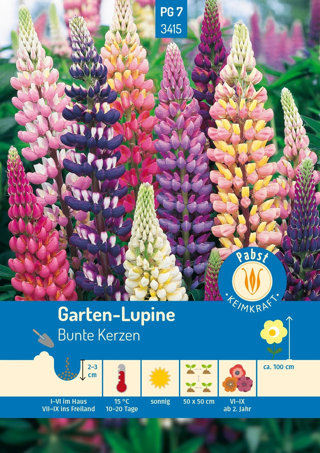 Pabst Keimkraft Lupine Russels-Mischung