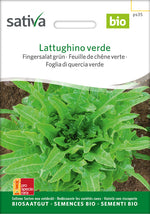 Sativa Fingersalat grün Lattughino verde