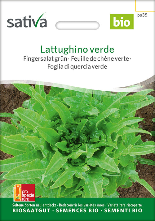 Sativa Fingersalat grün Lattughino verde