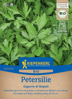 Kiepenkerl Petersilie Gigante di Napoli