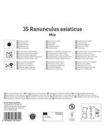 Mega-Pack Ranunkelmischung