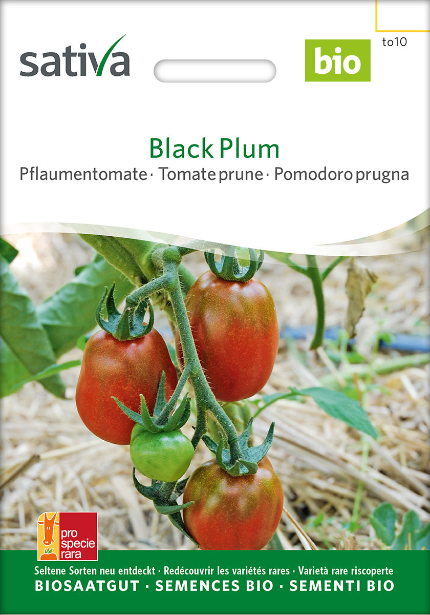 Sativa Pflaumentomate Black Plum