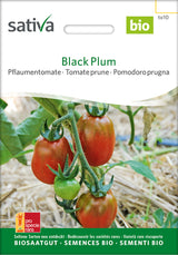 Sativa Pflaumentomate Black Plum