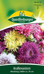 Quedlinburger Krallenaster Krallenaster Mischung