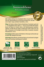 Quedlinburger Topfsonnenblume Pacino